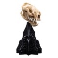 Weta Workshop Mini Warg Skull Figurka 20 cm