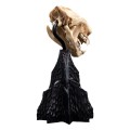 Weta Workshop Figurka Mini Warg Skull 20 cm