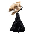 Weta Workshop Mini Warg Skull Figurka 20 cm