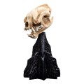 Figurka Weta Workshop Mini Warg Skull 20 cm