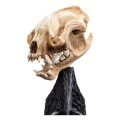 Weta Workshop Figurka Mini Warg Skull 20 cm