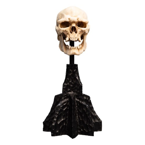 Figurka Weta Workshop Skull of a Mordor Orc 14 cm