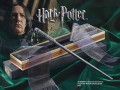Rozdzka Severu Snape