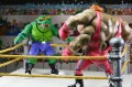 Teenage Mutant Ninja Turtles Stump Wrestling Leatherhead Figurka NECA 18 cm