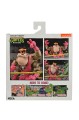 Teenage Mutant Ninja Turtles Cryin' Houn' Figurka NECA 18 cm