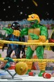 NECA Zestaw Figurka Teenage Mutant Ninja Turtles Stump Wrestling 18 cm