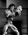 NECA Teenage Mutant Ninja Turtles Casey Jones Figurka 18 cm