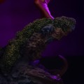 Masters of the Universe Beast Man Statua Iron Studios 23 cm
