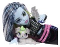 Figurka Monster High Frankie Stein Mattel 30 cm