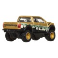 Hot Wheels Premium 2017 Ford F-150 Raptor 1/64 Figurka Mattel