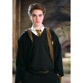 Harry-Potter-Krawatte-Hufflepuff (3).jpg